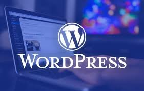 Professional WordPress Designer & Developer